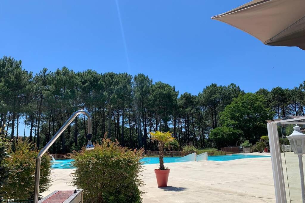 Appartement T2 1Chambre 4-5 Personnes - Lacanau - Piscine - Vue Sur Le Golf Exteriör bild